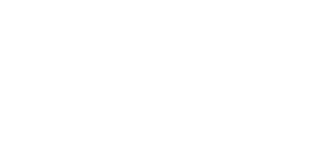Embassy Freight Services